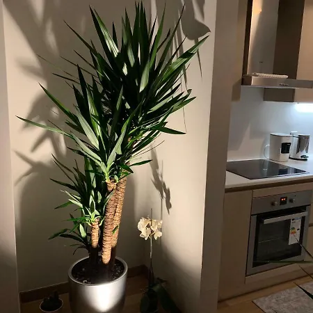 דירה Agaoglu Maslak 1453 2+1 Penthouse Loft איסטמבול